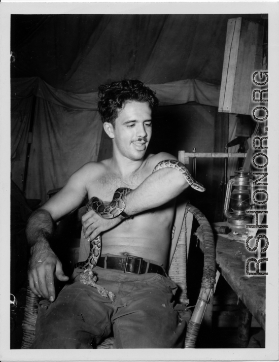 Engineer of the 797th Engineer Forestry Company poses with snake in tent in Burma.  During WWII.
