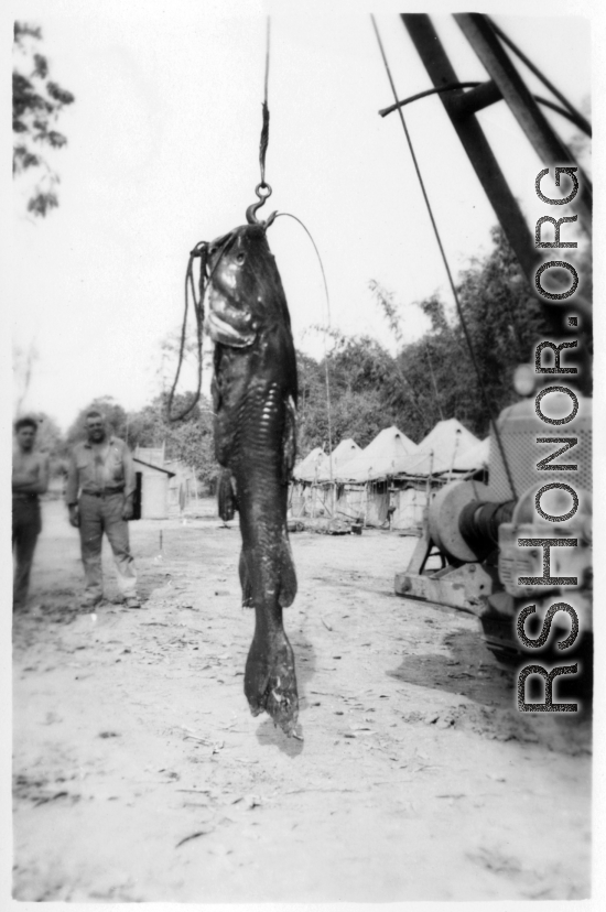 Engineers of the 797th Engineer Forestry Company pose with their catch after a round of fishin' in Burma.  During WWII.