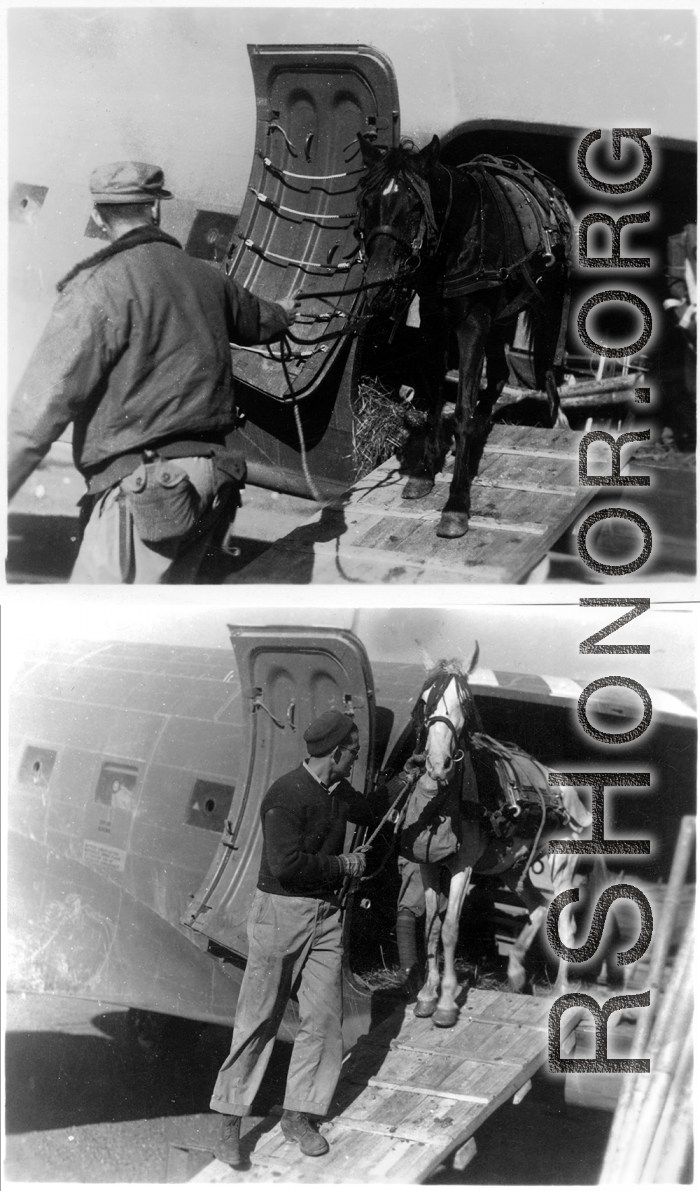 GIs lead mules out of a C-47 transport plane during WWII, in China.
