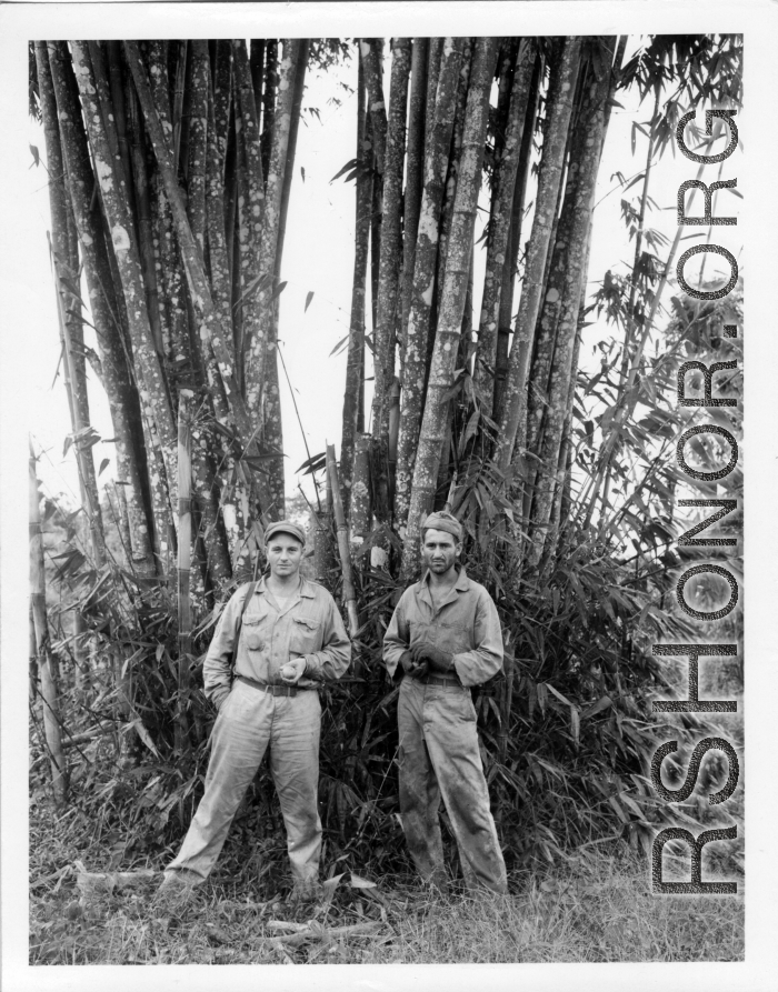 Engineers of the 797th Engineer Forestry Company pose before bamboo in Burma.  During WWII.