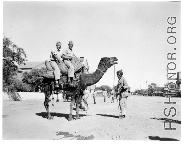 GIs riding camel in Burma or India.  Near the 797th Engineer Forestry Company.  During WWII.