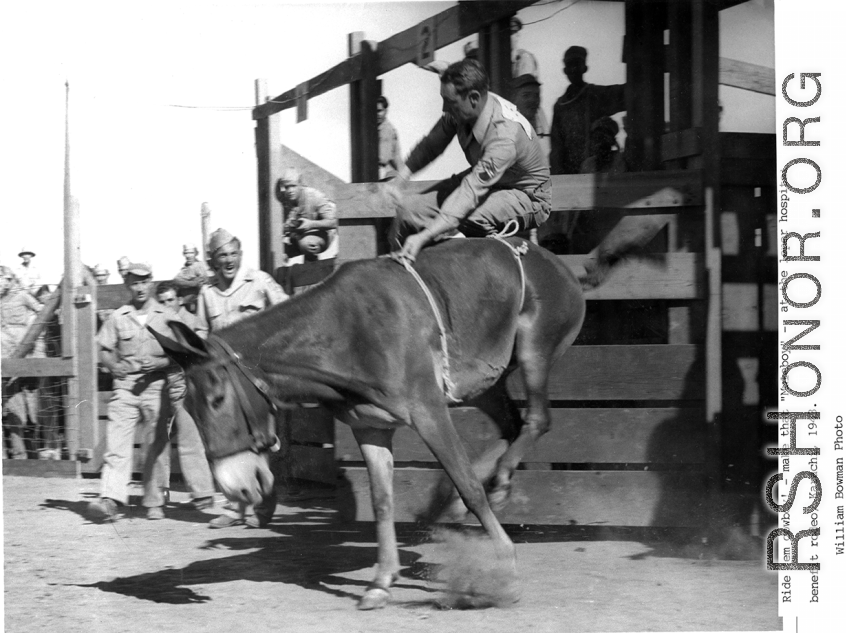 GI rides a jumping mule in a benefit rodeo for a leper hospital, Karachi, India, 1943.  Photo from William Bowman.