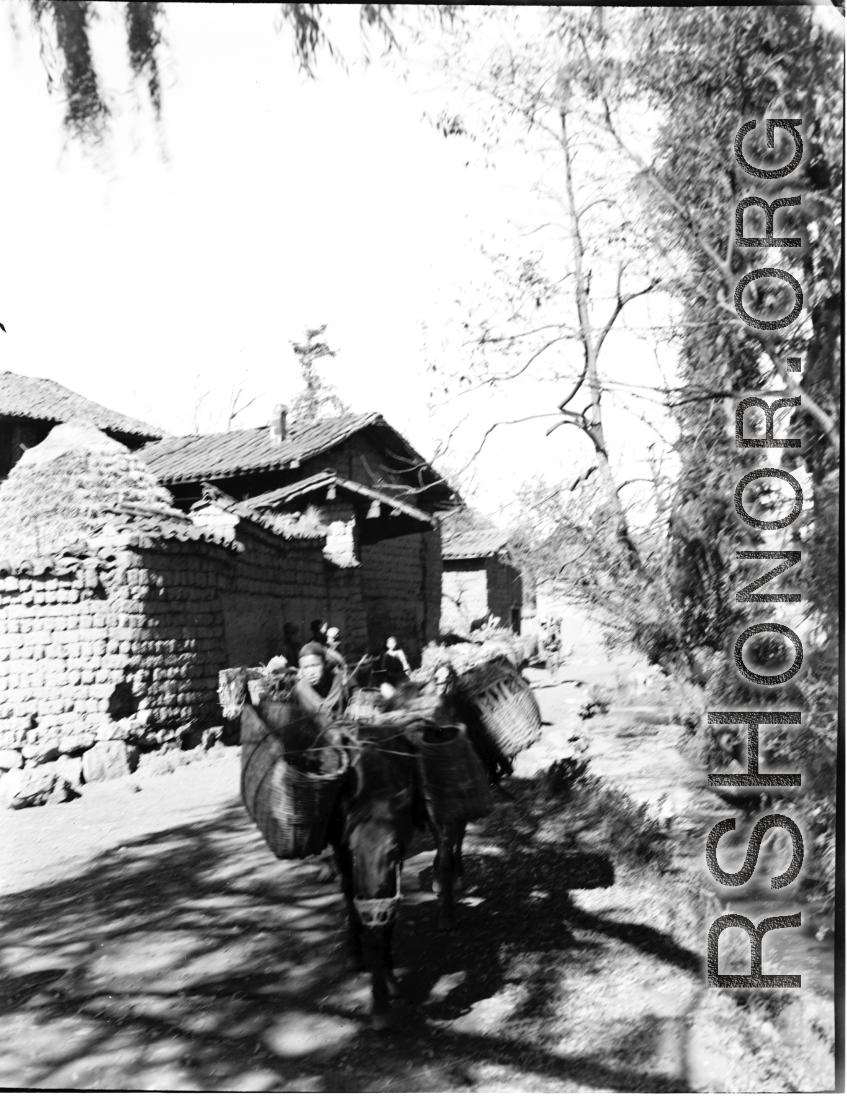 Local people in China: A horse or mule carries baskets around a village in Yunnan Province.