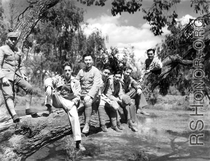 American and Chinese soldiers pose on the trunk of a large tree during a friendly day outing, mostly likely in Yunnan. During WWII.
