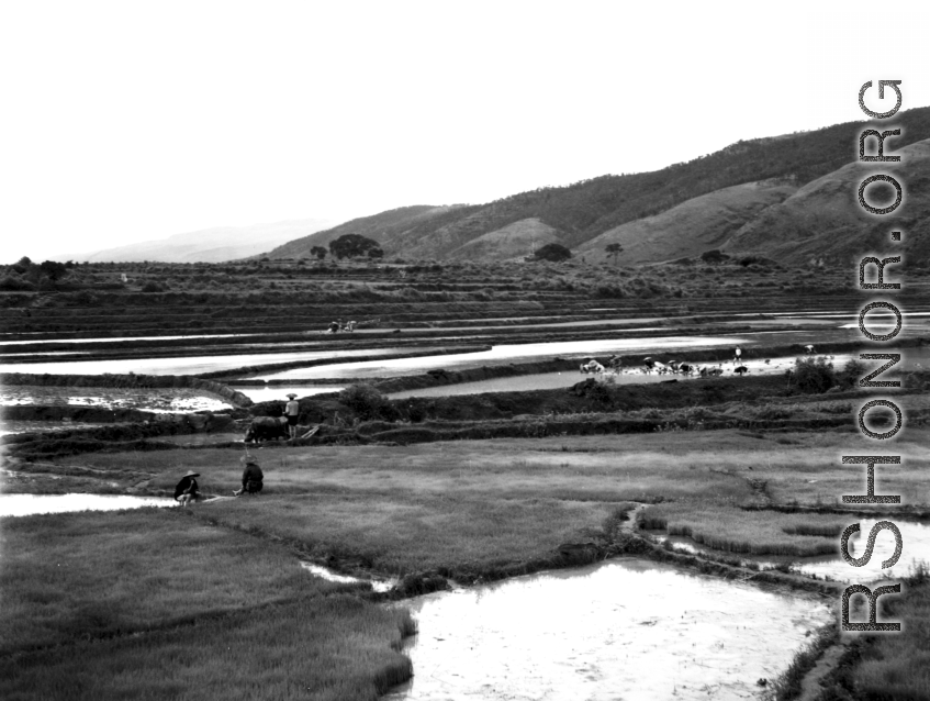 Rural farming countryside with rice paddies in China, probably in Yunnan province. During WWII.