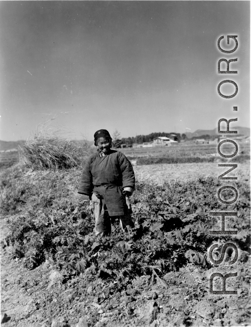Local people in China: A woman stands among cabbage plants in Yunnan, China, during WWII.