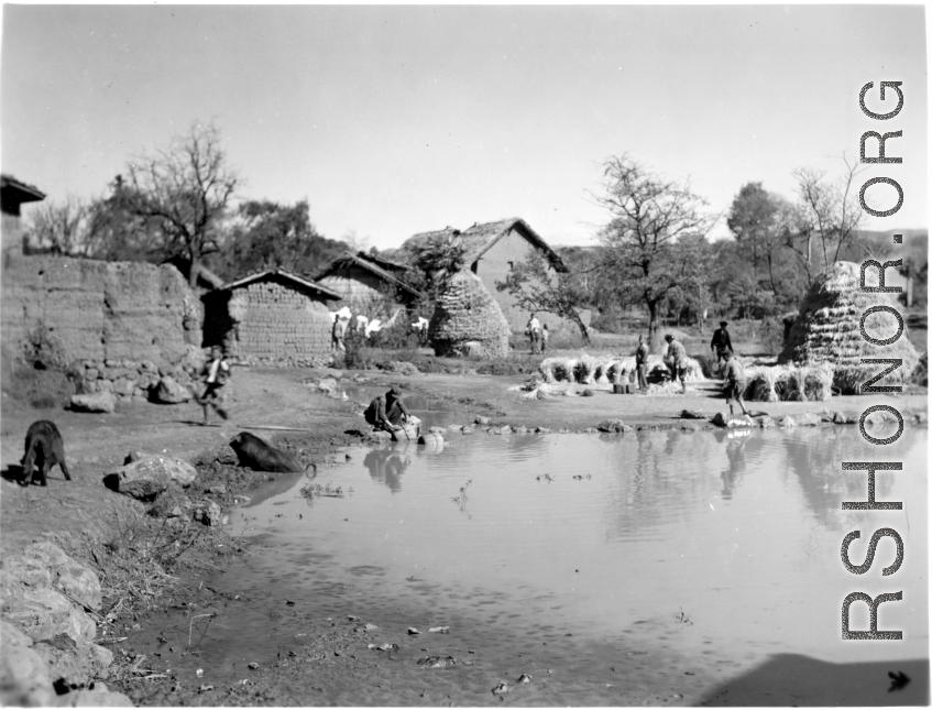 Village scene next to Yangkai, Yunnan province, during WWII, with a pond and people threshing rice. 