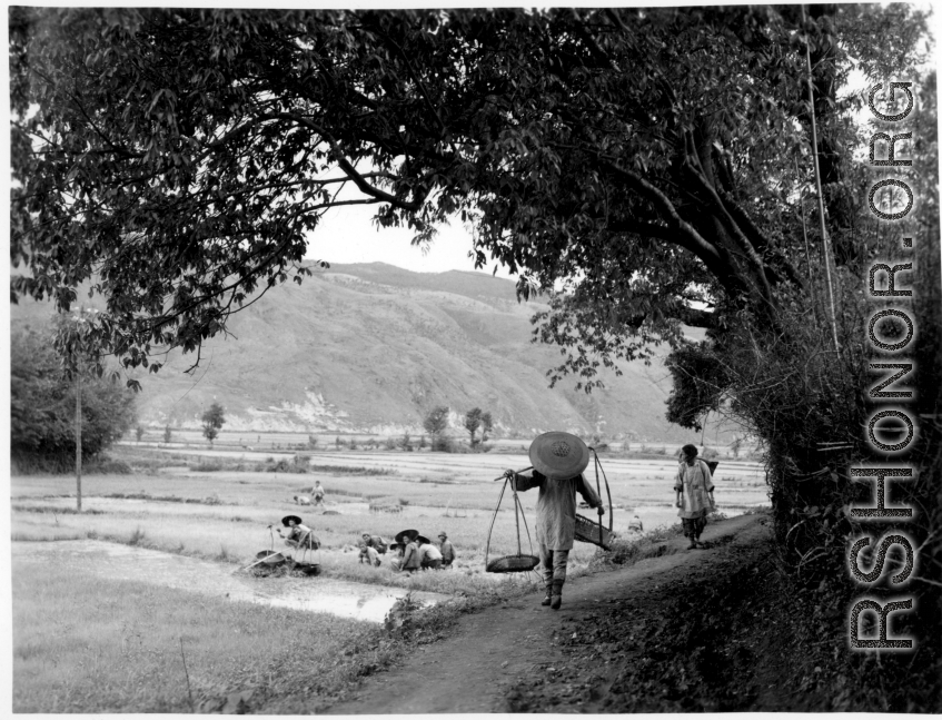 Women farming at Yangkai, and a woman walking on village path. During WWII.