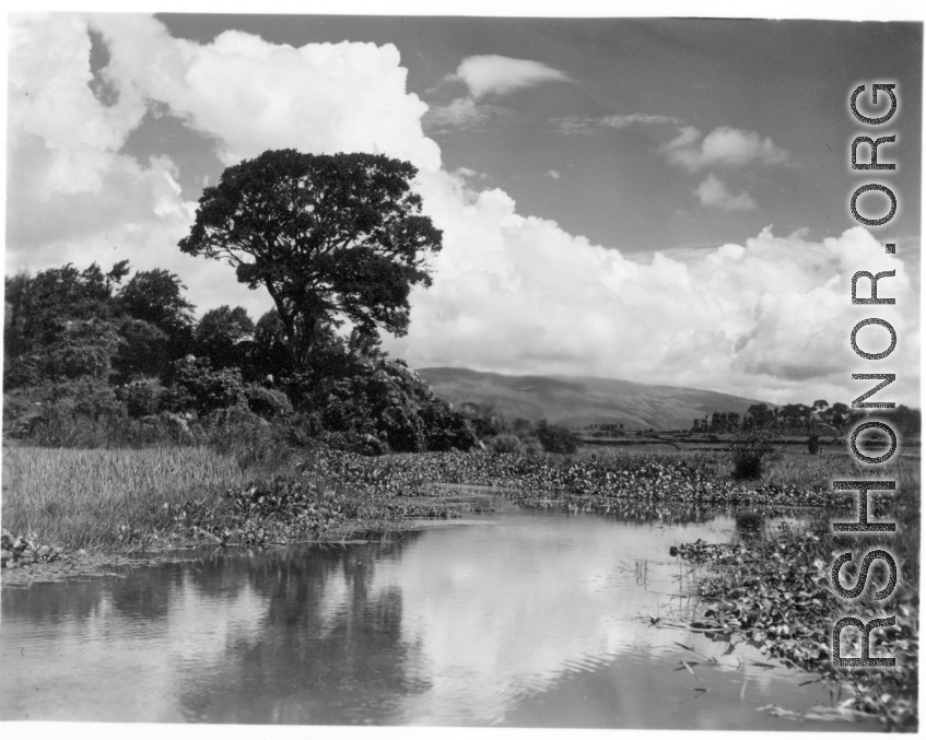 Local scenery in China: A pond at Yangkai. During WWII.