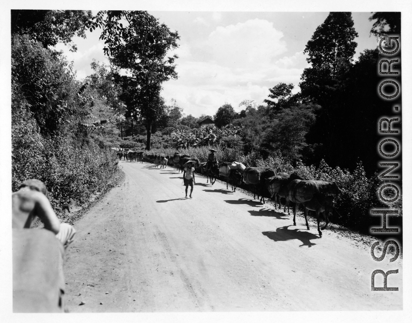 Local people in Burma near the 797th Engineer Forestry Company--A heavily loaded mule train in Burma.  During WWII.