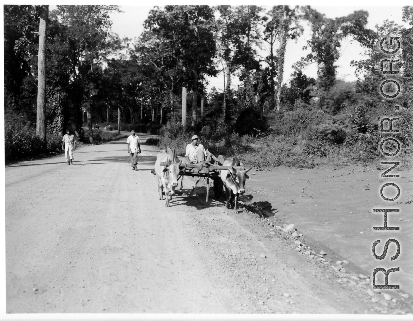 Ox cart in Burma or India.  Near the 797th Engineer Forestry Company.  During WWII.