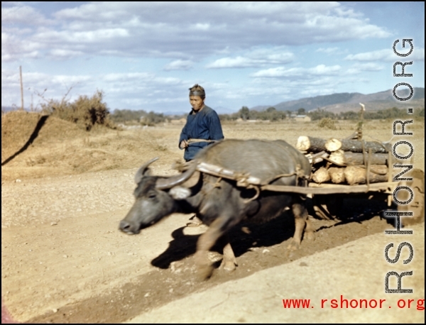 A farmer with his ox drawn cart, possibly at Yangkai base, Yunnan province, China, during WWII.