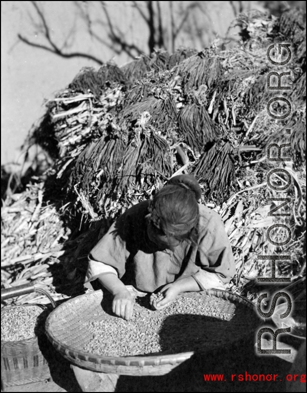 Local people in China, probably in Yunnan province: A woman picking through grain by hand.  From the collection of Wozniak, combat photographer for the 491st Bomb Squadron, in the CBI.