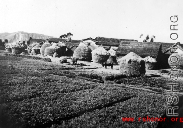 Village in Yunnan province, China, with grass-thatched houses. During WWII.