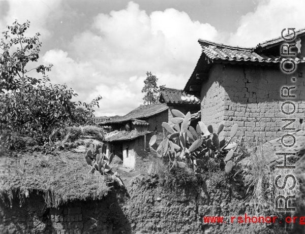 A village in Yunnan province, China, with adobe houses, and cactus growing on fences.