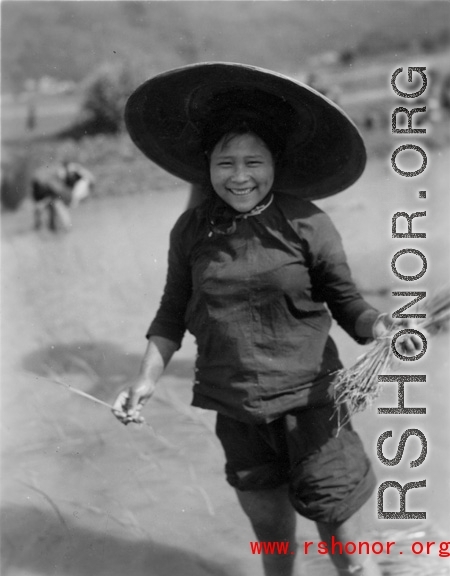 Local people in China: A woman in Yunnan transplants rice seedlings. During WWII.