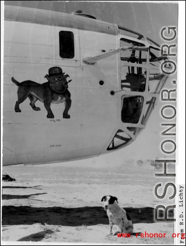 A dog poses with a B-24 which has a bulldog in hat as nose art.  In the CBI. From R. D. Lichty.