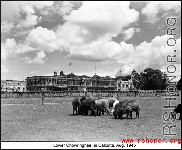 Lower Chowringhee, in Calcutta, India, August 1945.