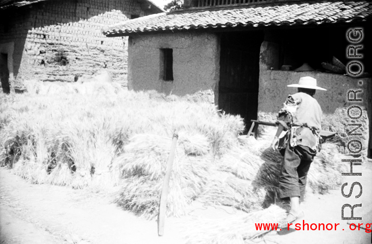 A farmer tends bundles of rice straw in SW China during WWII.