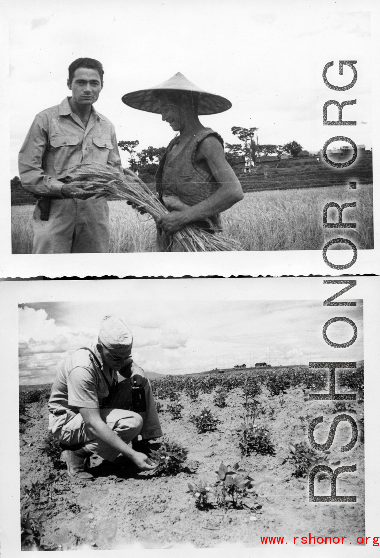 GI with farmer and checking fields in SW China during WWII.