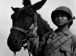 Chinese soldier with mule.