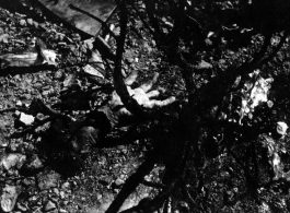 The horrors and costs of war--A severed human hand lies among the burned and melted wreckage of an airplane crash in the CBI during WWII.