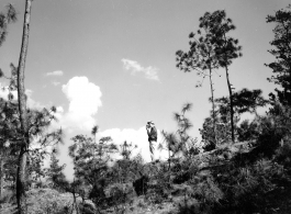 GIs adventuring among pines at Yangkai air base during WWII--The GI is using a movie camera.