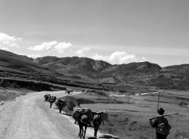 A mule train in Yunnan province, China.