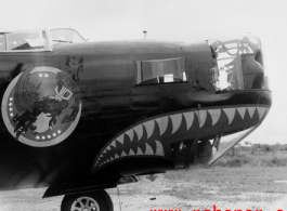 B-24 nose art, with emblem and sharks teeth during WWII.