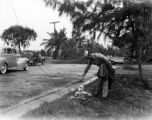A GI inspects a fish driven ashore by wind and water, most likely in Florida (based on apparent Florida license plate), during WWII.