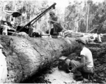797th Engineer Forestry Company in Burma, cutting sections for loading logs for milling for bridge building along the Burma Road.  During WWII.