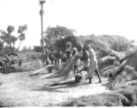 Threshing grain in India, during WWII.