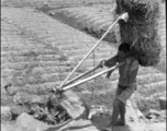 A farmer shoulders straw in China during WWII.