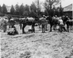 Mule train and nationalist soldiers in Yunnan, China, during WWII.