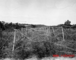 Barb wire grid on posts in China, Burma, or India. During WWII.