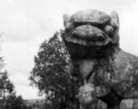 A stone lion in Yunnan province, China.