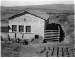 Workers outside a beef slaughterhouse at Yangkai, set up specifically to provide meat for base personnel. During WWII.