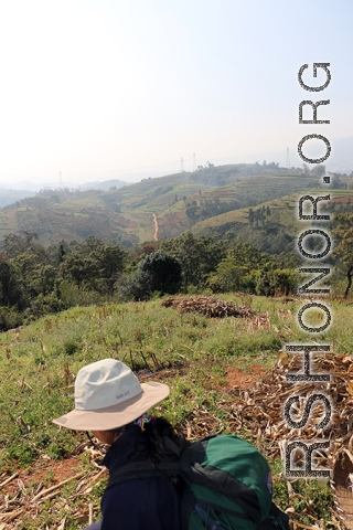 Walking on hillside above the marker, which is roughly at the dark bushy tree right in the middle. Village in the distance near the power-line tower towards the right. Back in WWII it is likely there was more forest coverage than now.
