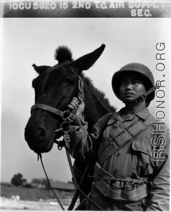 Chinese soldier with mule.