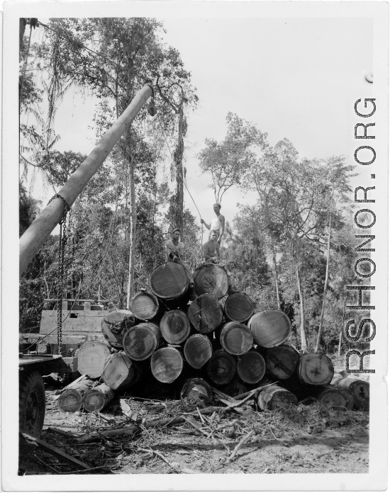 797th Engineer Forestry Company in Burma, loading logs for milling for bridge building along the Burma Road.  During WWII.