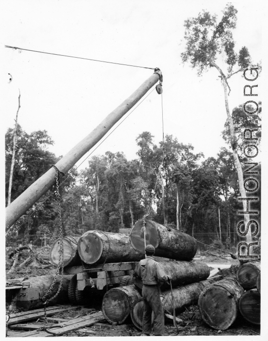 797th Engineer Forestry Company in Burma, loading logs for milling for bridge building along the Burma Road.  During WWII.