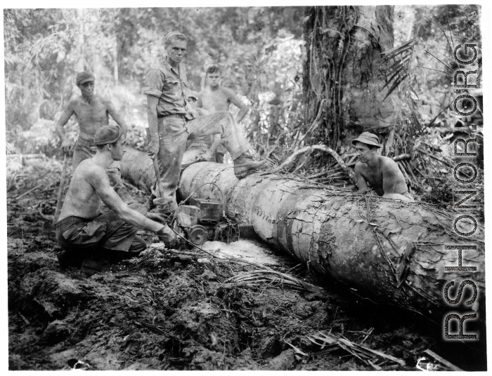 GIs cutting bucking downed trees in Burma for lumber mill.  During WWII.  797th Engineer Forestry Company.