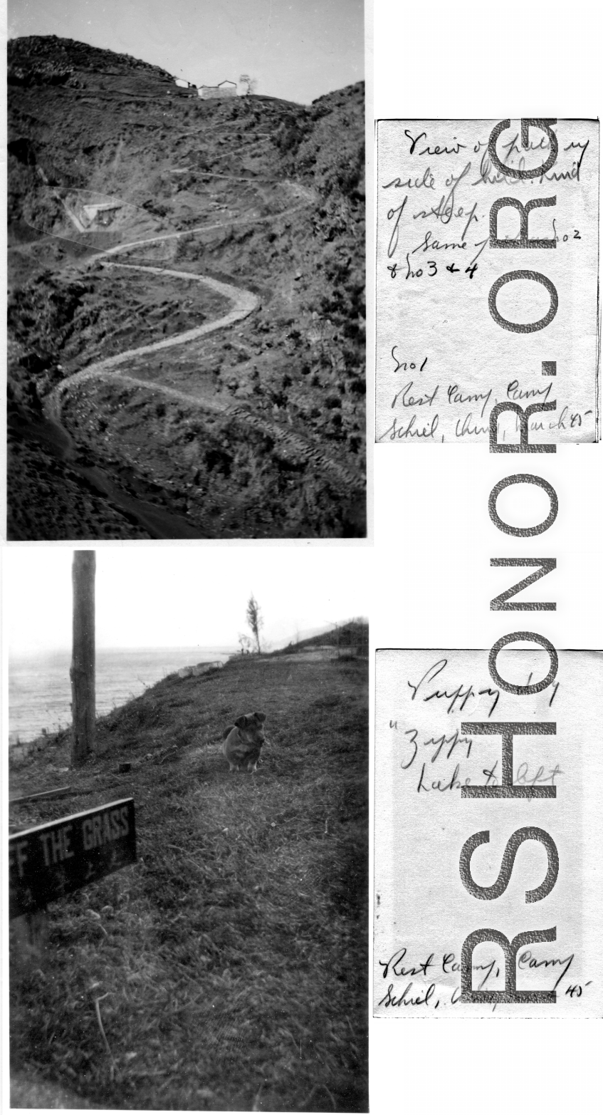 A hill above Camp Schiel with winding road and temple at top, and pet dog "Zippy" at the camp, March 1945.
