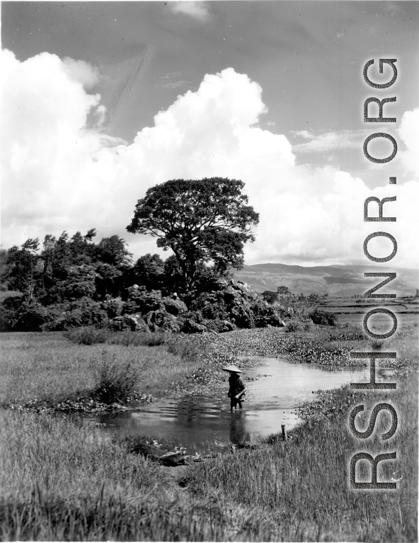 A rural person in the Chinese countryside in Yunnan province, wading through a pond.