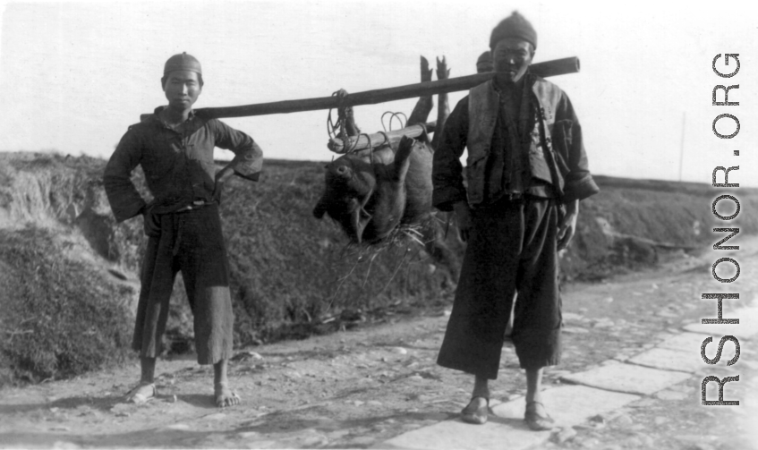 Men in China shoulder a large pig to market. During WWII.