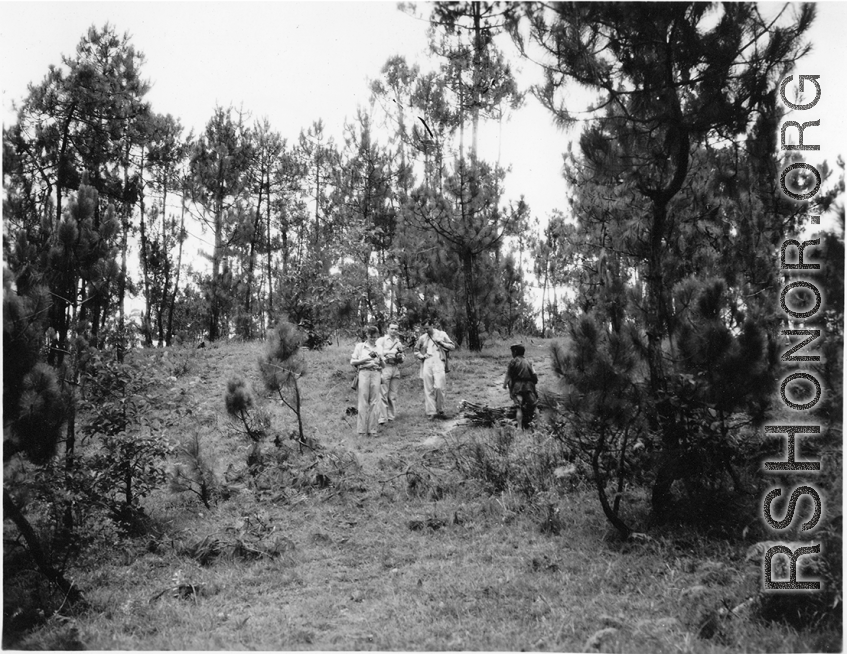 GIs adventuring among pines at Yangkai air base during WWII.