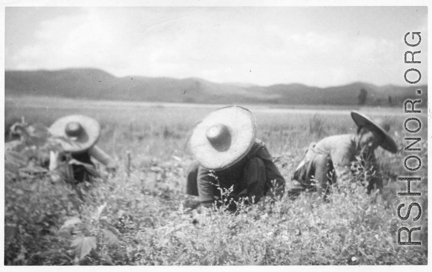 Chinese farmers working in the fields. During WWII in the CBI.