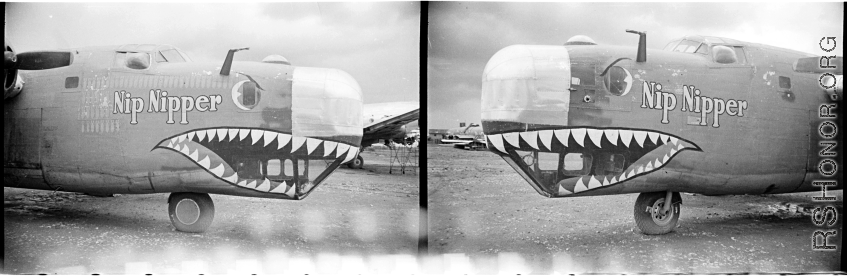 Nose art of a Consolidated B-24 bomber "Nip Nipper." This is later in the war, and the B-24 has been modified to carry cargo, with the nose guns (and much more) removed.