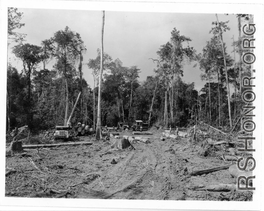 797th Engineer Forestry Company in Burma, loading logs for milling for bridge building along the Burma Road.  During WWII.