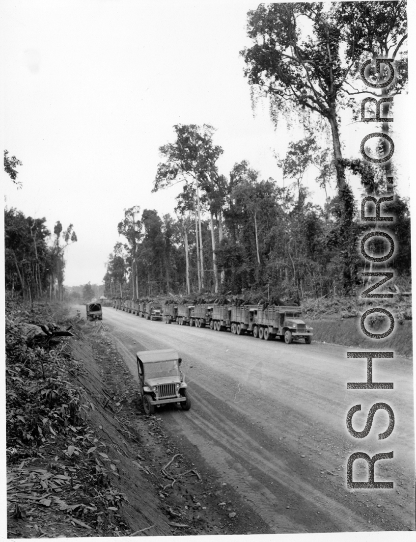 797th Engineer Forestry Company in Burma: Convoy of trucks loaded with mules on the Burma Road.  During WWII.